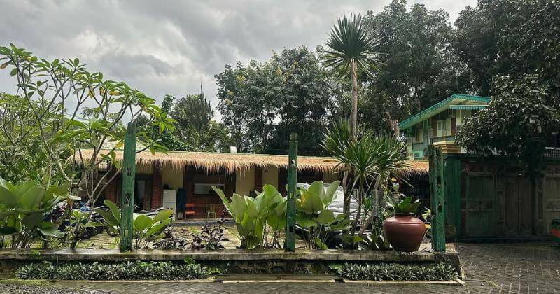 Instagram.com/lissyqueen_forest